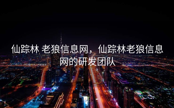 仙踪林 老狼信息网，仙踪林老狼信息网的研发团队