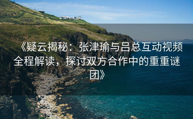 《疑云揭秘：张津瑜与吕总互动视频全程解读，探讨双方合作中的重重谜团》